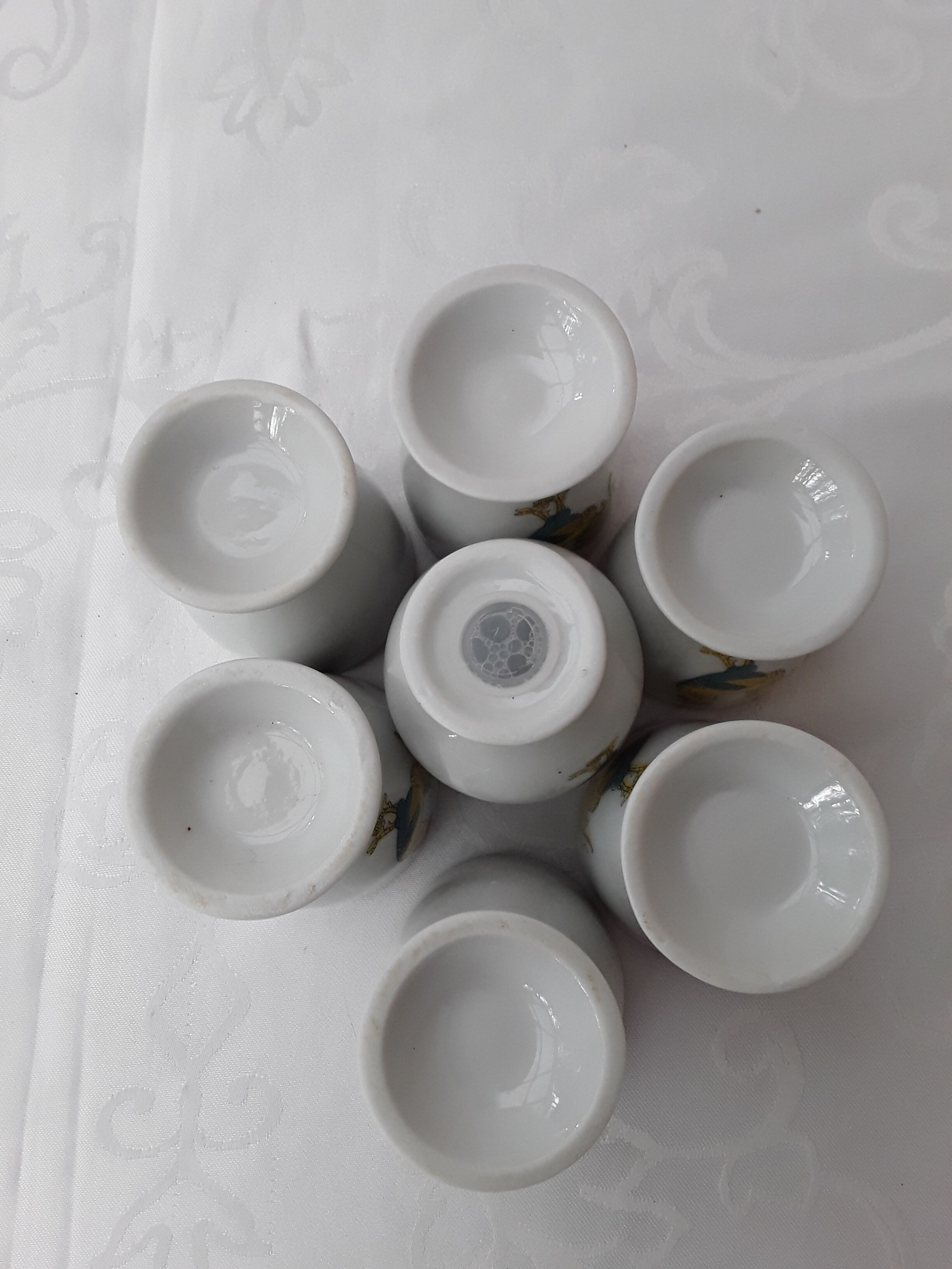 Service 6 shells and white earthenware salt shaker