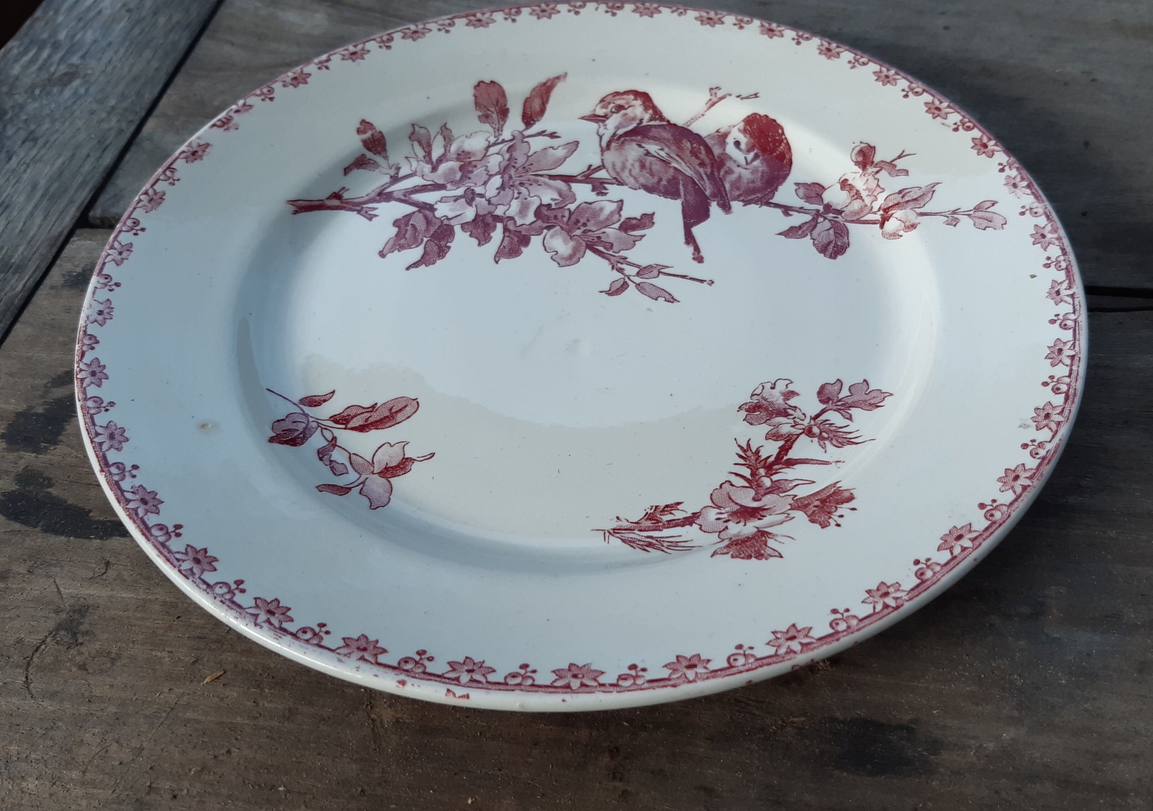 Assiette Sarreguemines favori