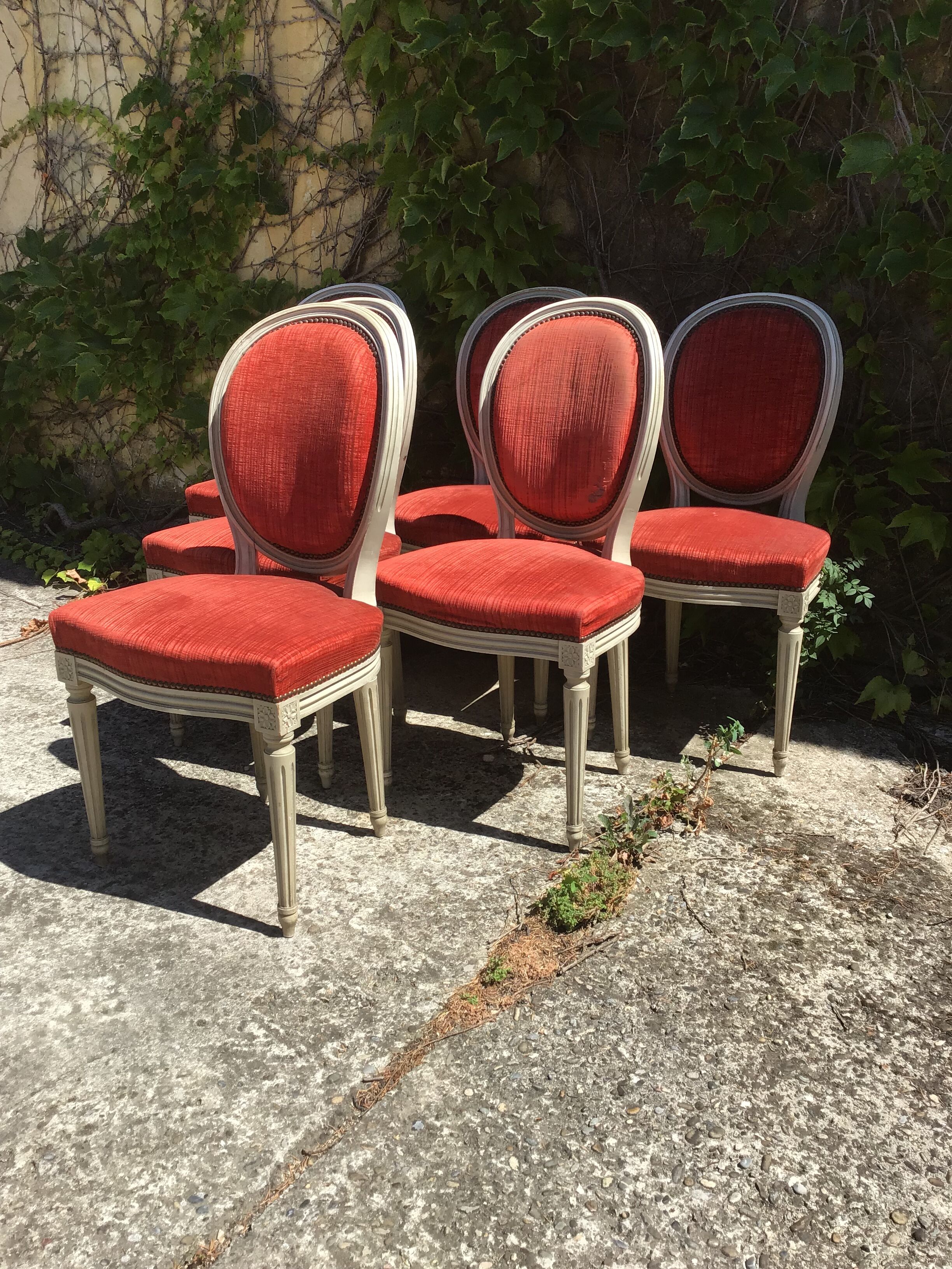 6 Louis XVI-style chairs