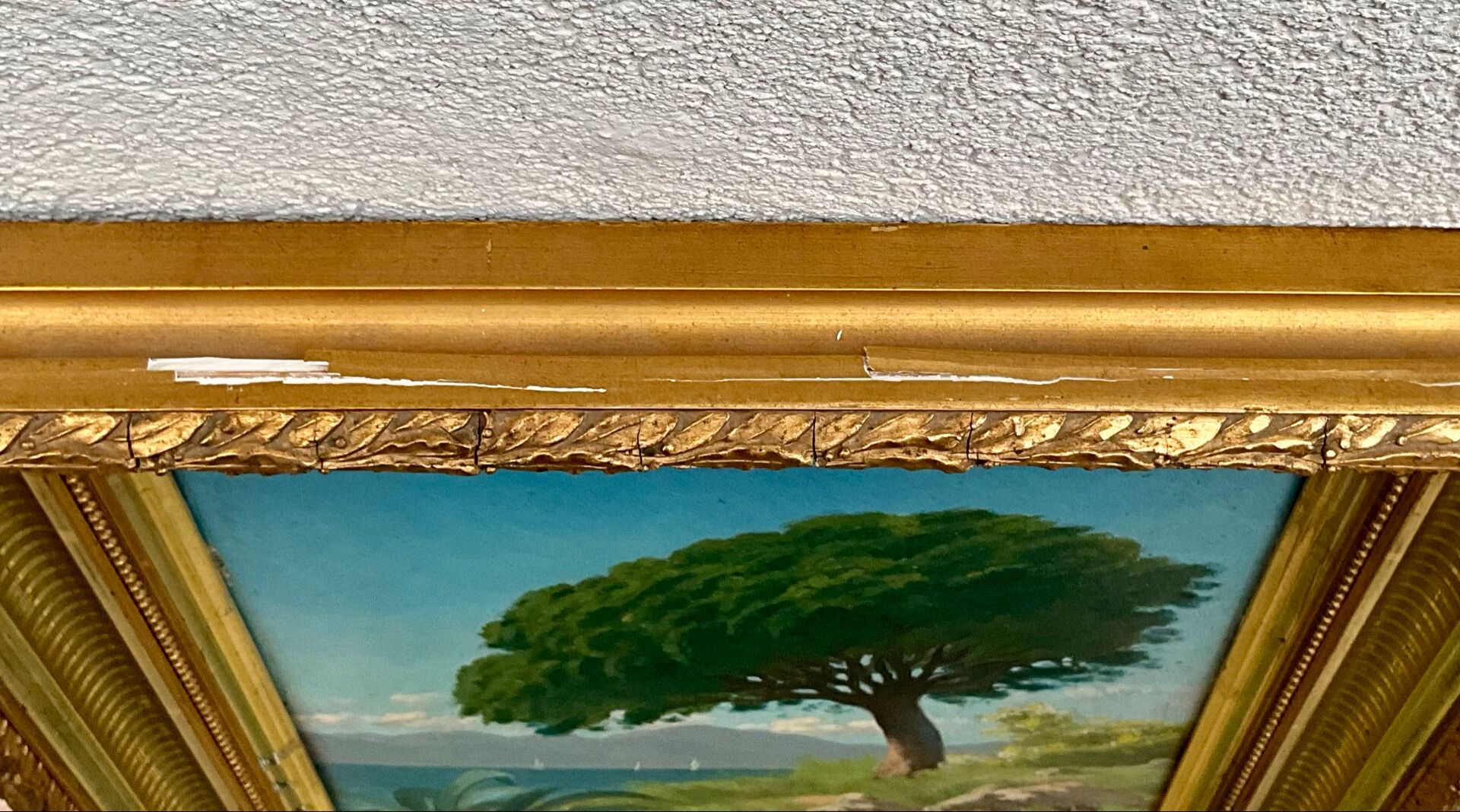 Oil on panel Cannes La Bocca 1909 signed Tom Evans