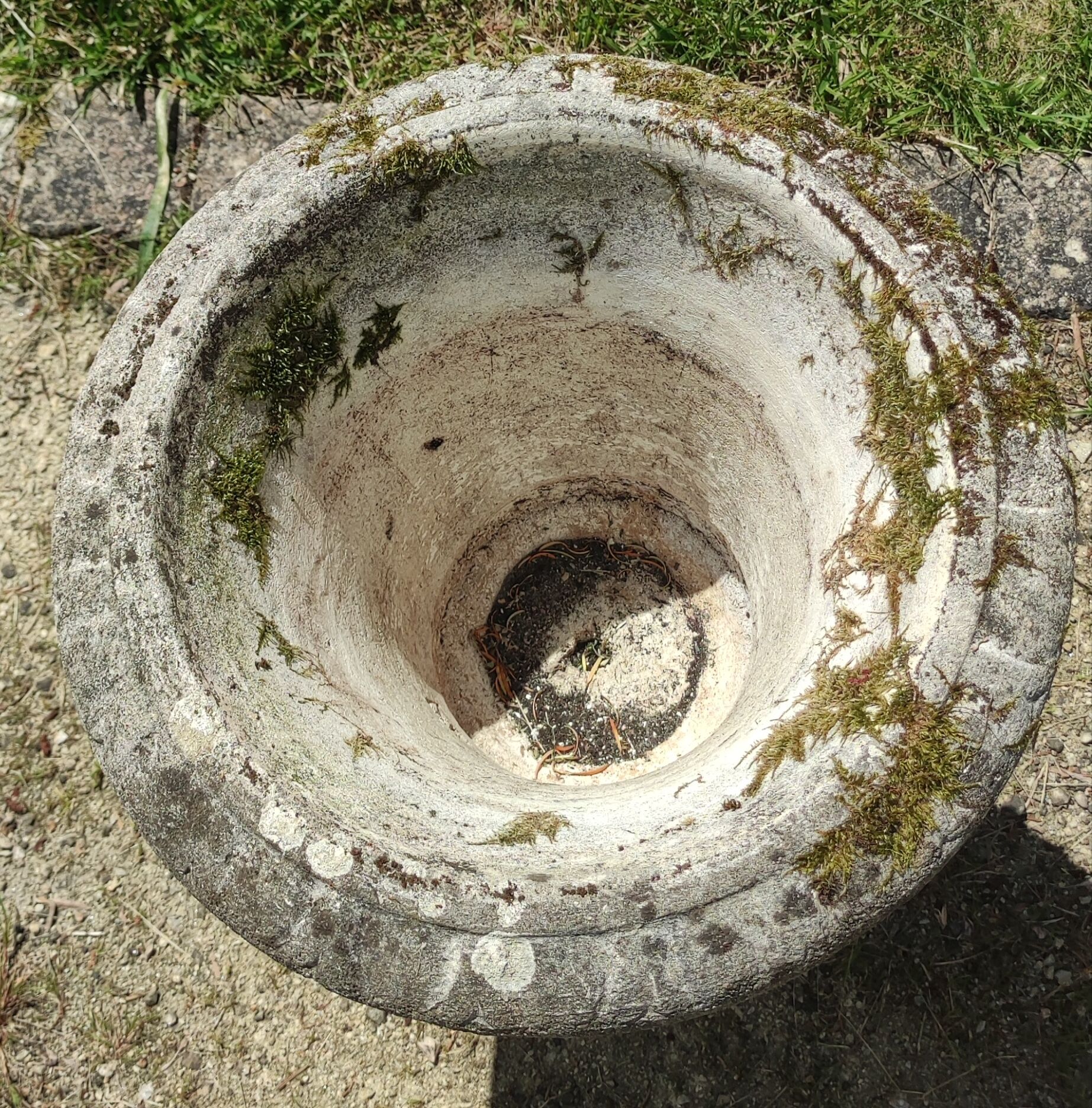 Pair of ancient Medici