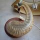 Vintage ram's horn living room lamp