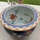Plant pot / fish pot