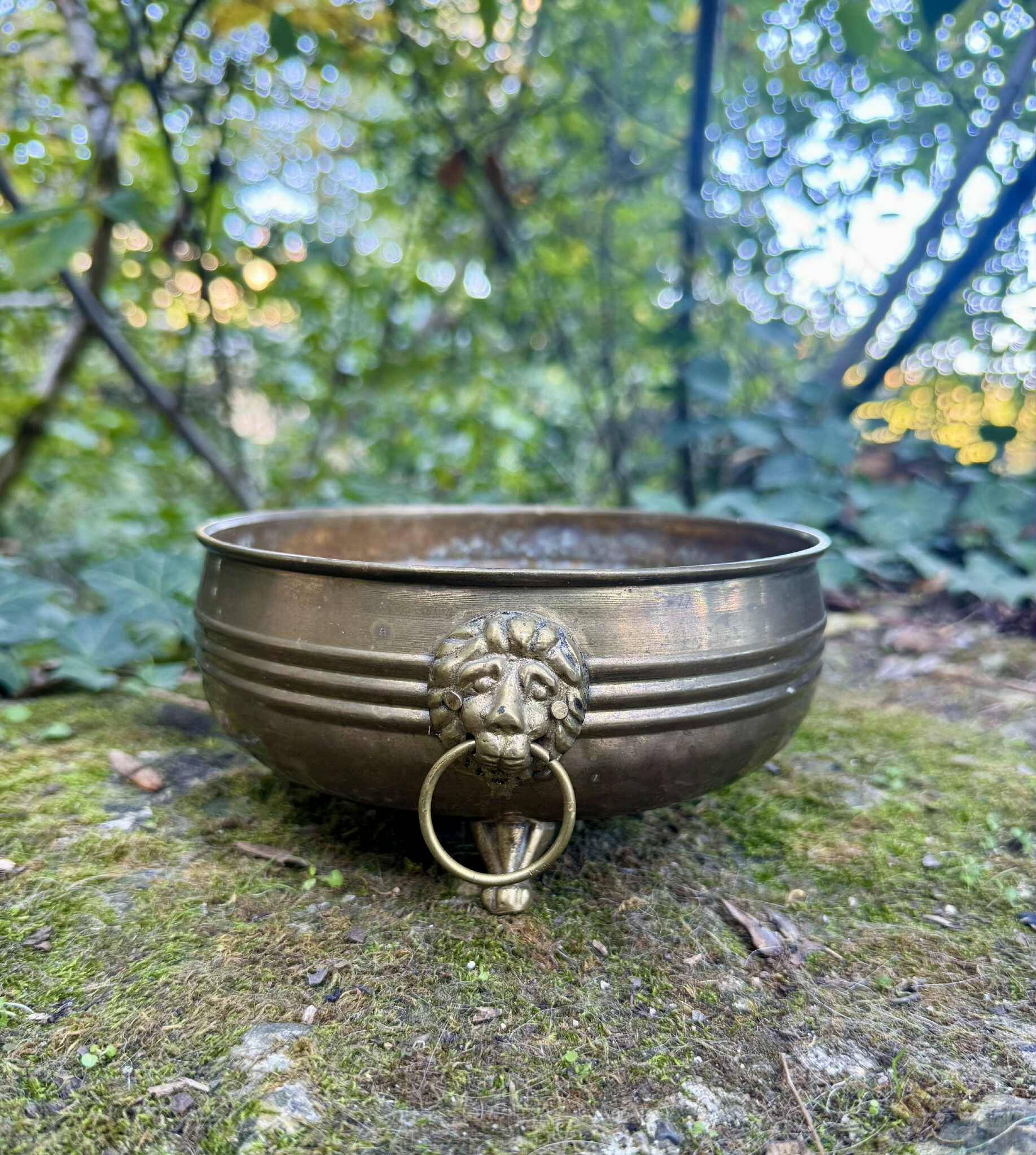 Brass lion jardinière 19th century