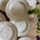 Set of 10 vintage Limoges porcelain soup plates