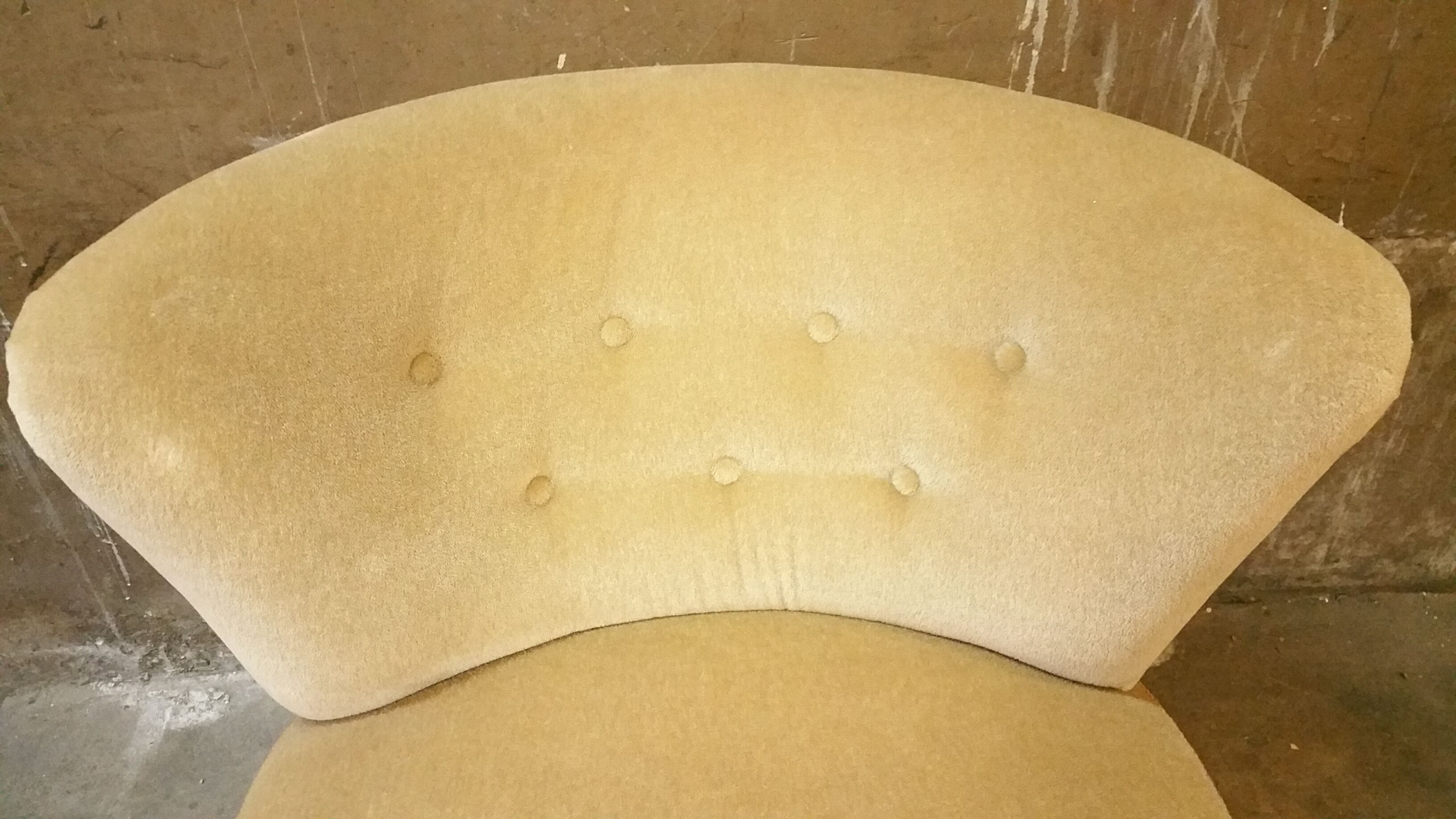 Chair Chair 50s Toad