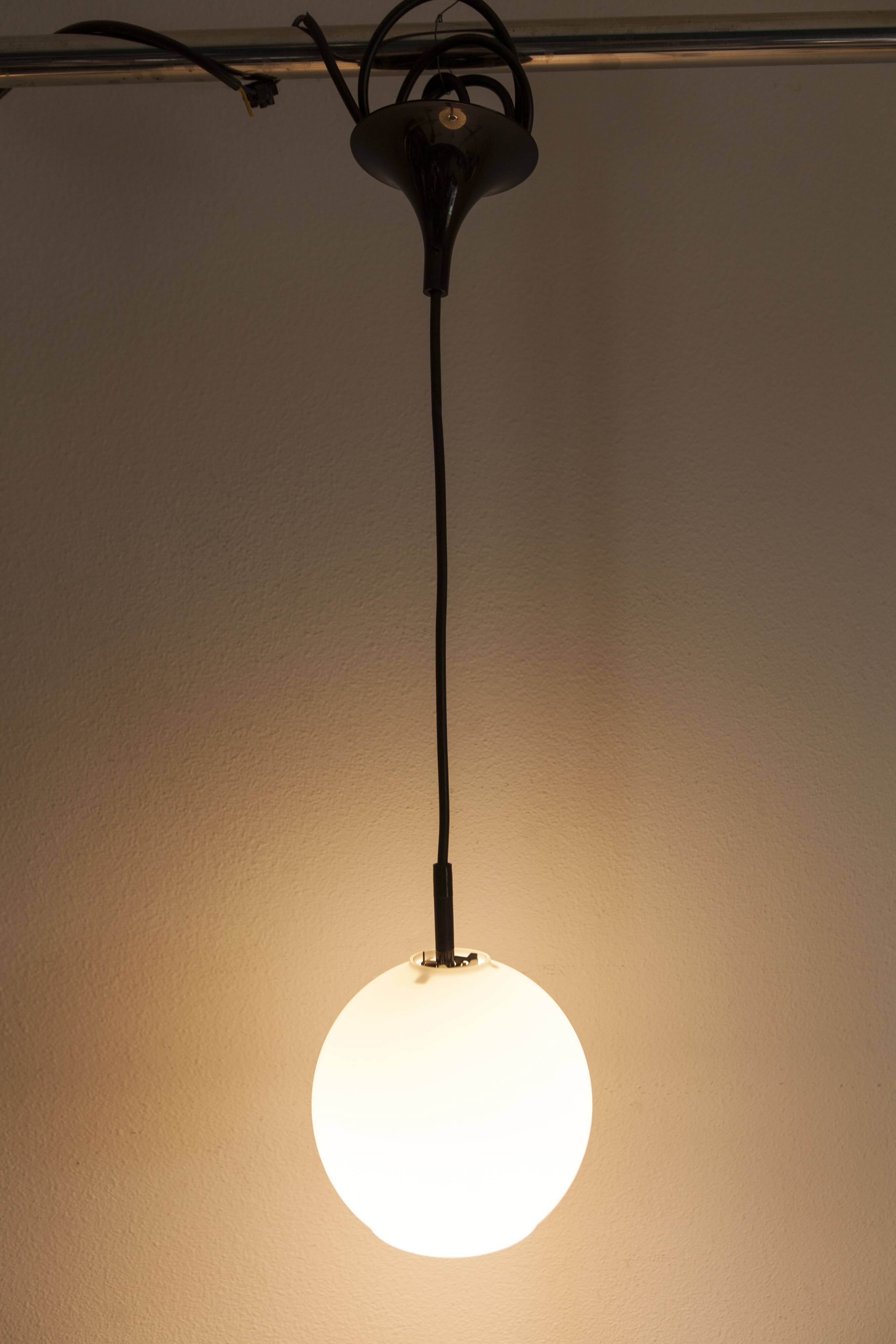 1970 white opaline tulip cone pendant lights (6 available)