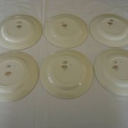Assiettes plates porcelaine opaque digoin sarreguemines modèle pasteur