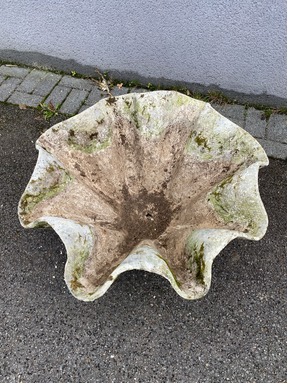 Biomorphic planter by Willy Guhl, 1960