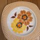 6 Mondovi plates