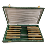 Set of 12 antique knives in green case