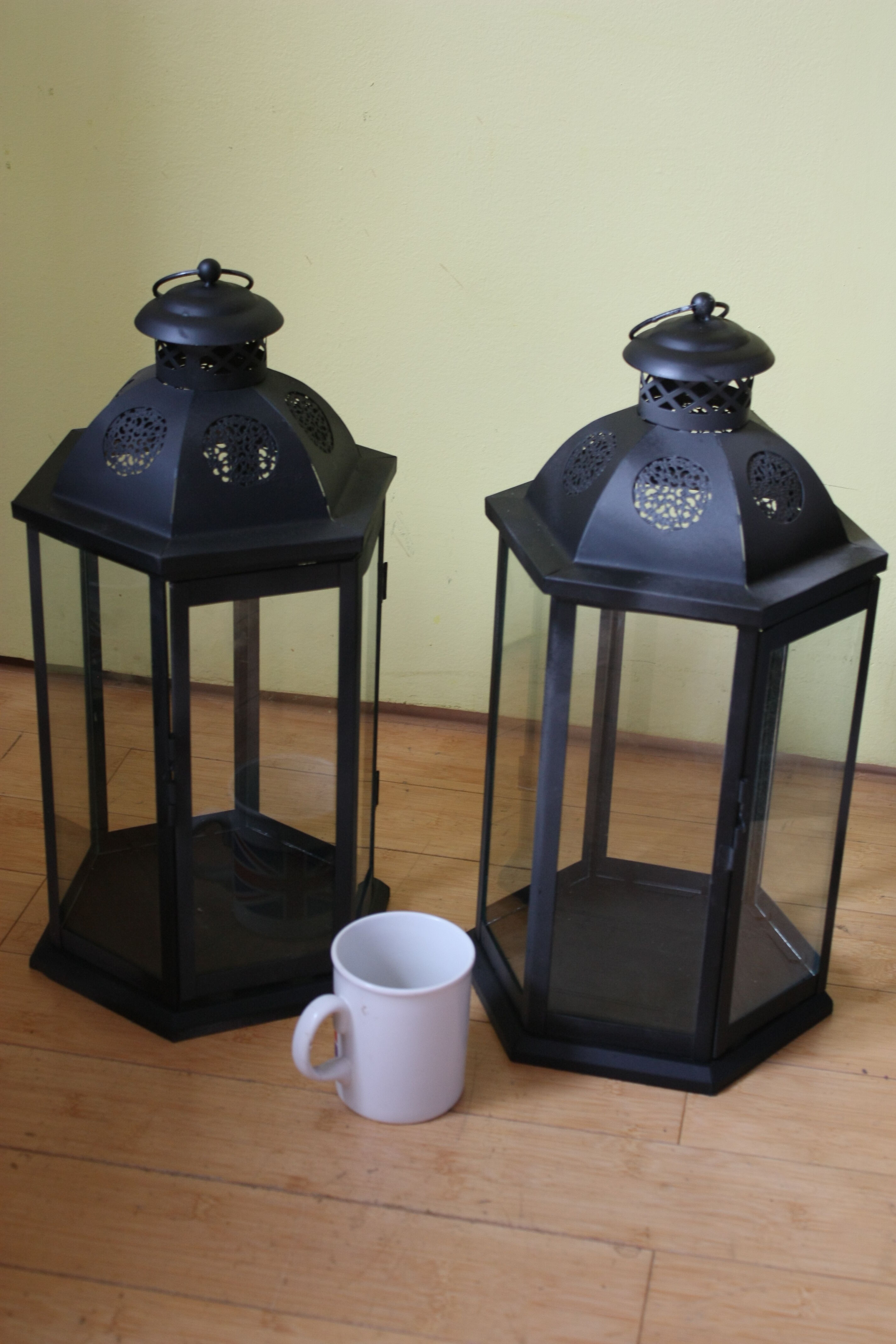 Two large photophores