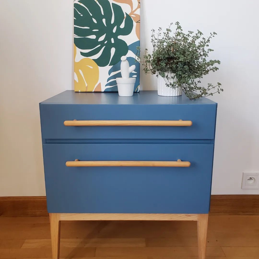 Blue sixties cabinet and monstera leaves