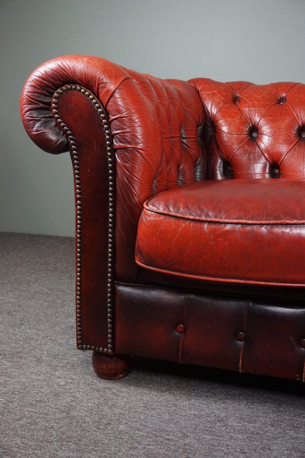Chesterfield sofa 3 places in cowhide leather