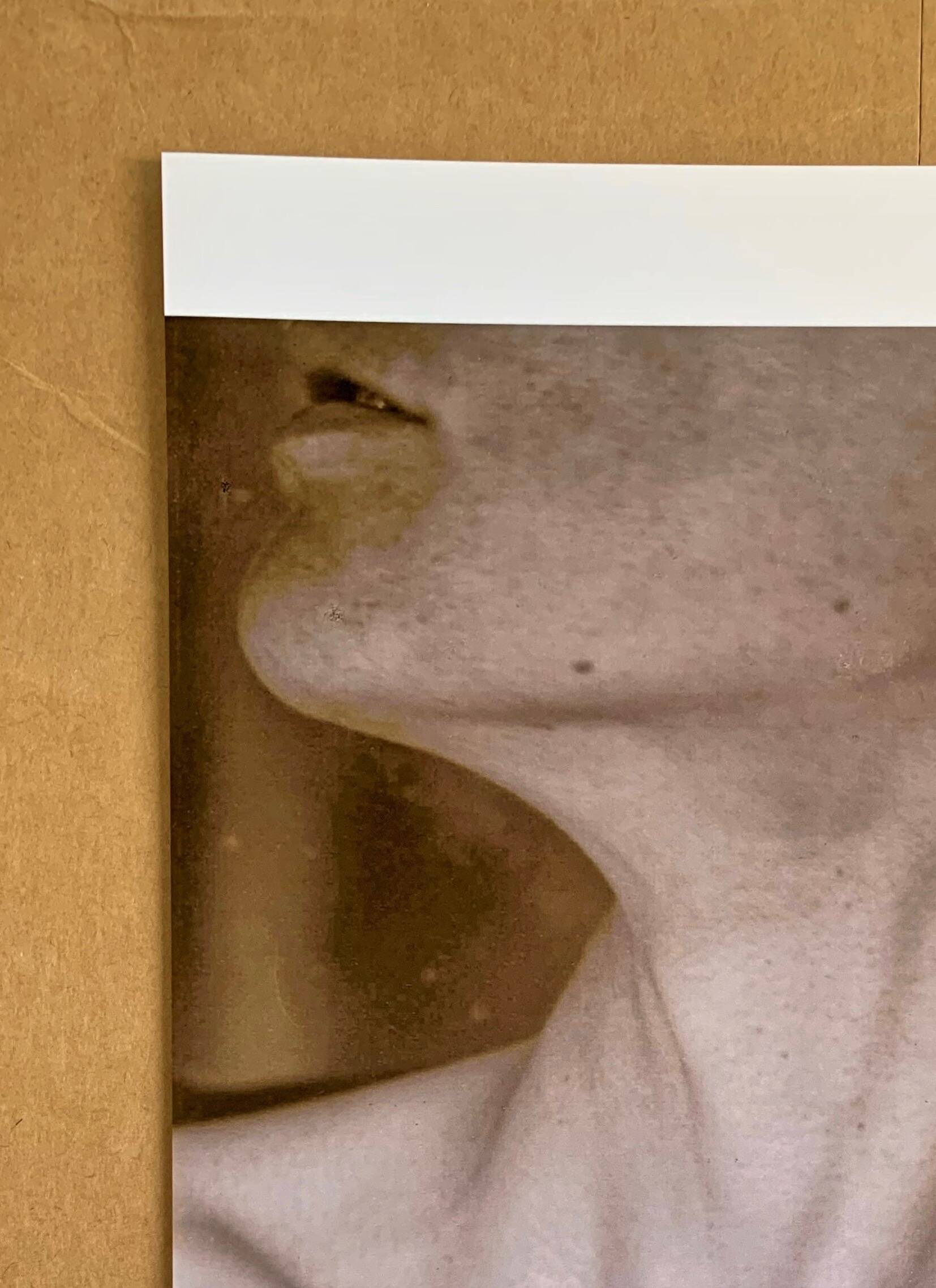 Alfred Stieglitz – Neck, 1921 An icon of photographic modernism