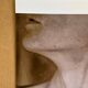 Alfred Stieglitz – Neck, 1921 An icon of photographic modernism