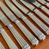 Christofle aria 12 dessert knives new condition