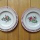 Kg luneville "reverber" 6 pierced plates antique earthenware flowers ø14.5 cm