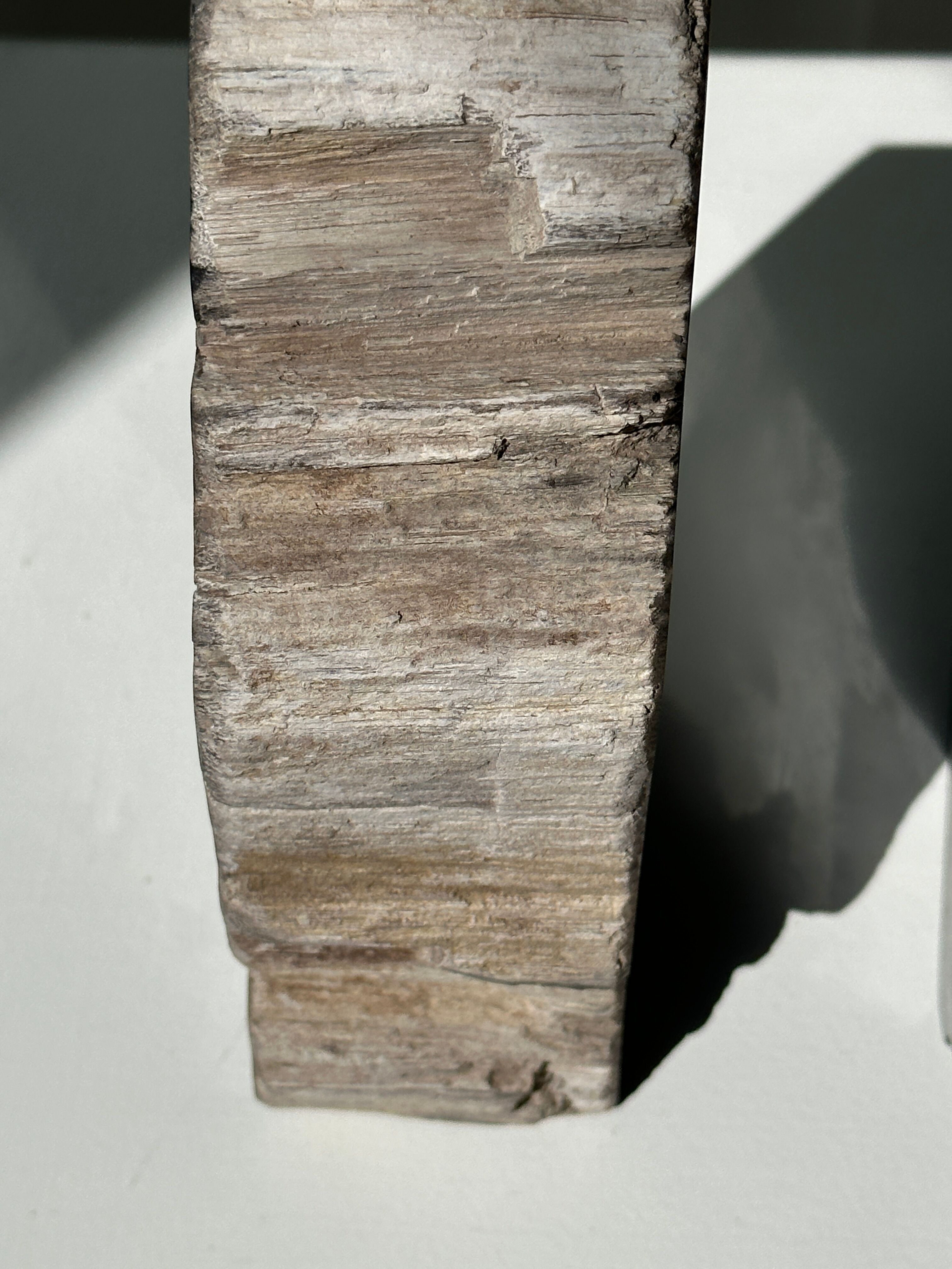 Black petrified wood bookend H17 L17 P6