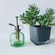 Vintage mist for indoor plants