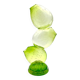 Cactus Vase Sculptural - Murano - Bullicante Glass - Vibrant Green