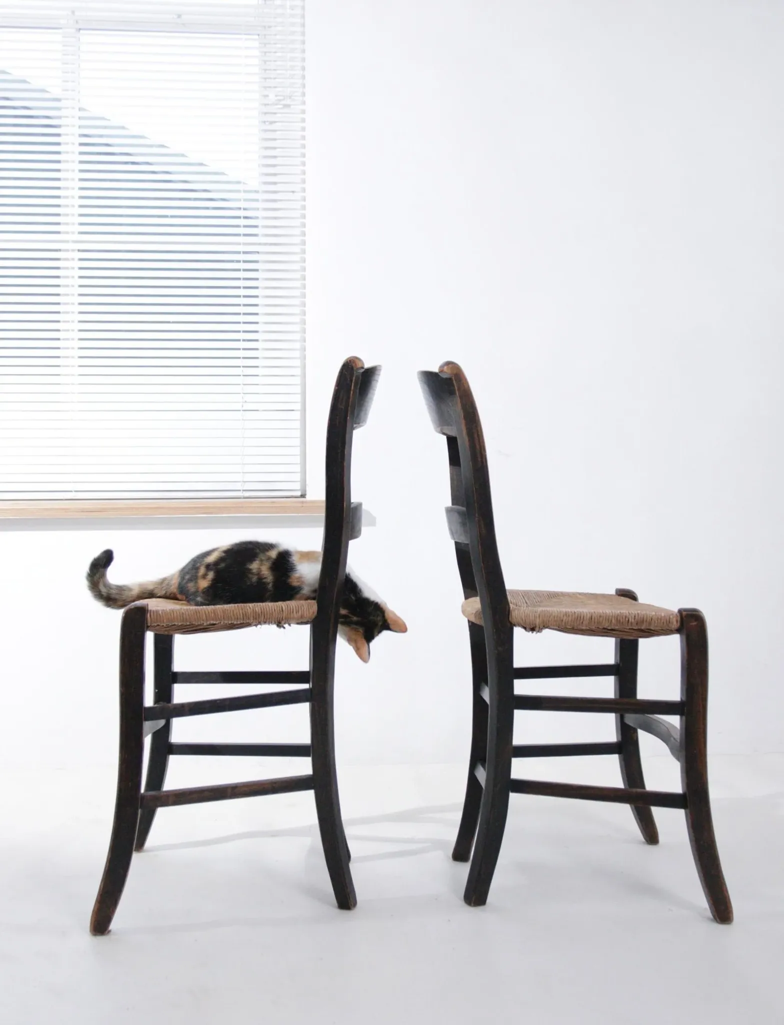 Set of 2 rustic French chairs with rush seats