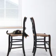 Set of 2 rustic French chairs with rush seats