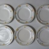 Iron earth 6 flat plates Savigny