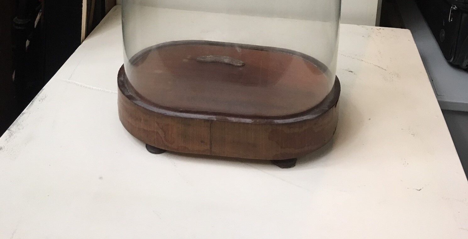 Globe de mariée