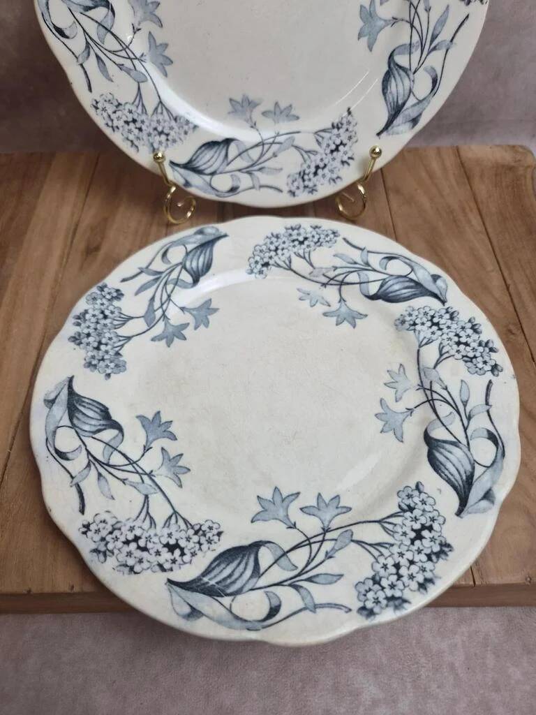 Set of 2 Longchamp ironstone plates model Lila Art Nouveau 22 cm