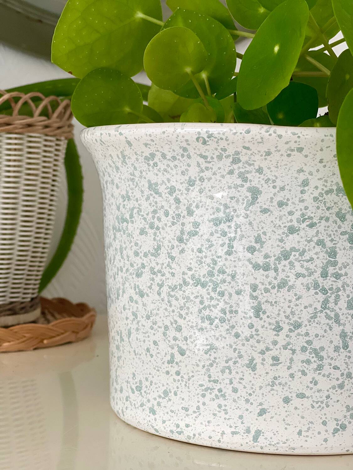 Speckled ceramic planter