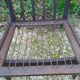 Scandinavian armchair in teak
