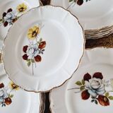 6 Assiettes Creuses Porcelaine Française Sarreguemines Fleurs Marron