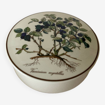 Villeroy and Boch model Botanica box