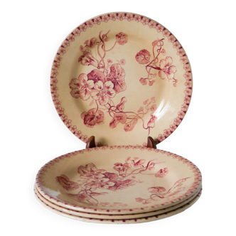 Set of 4 flat plates in Iron Earth, Gien "Capucines" model, late 19th century