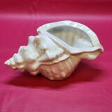 Empty cup vintage pocket shell shape conch conch shell iridescent white