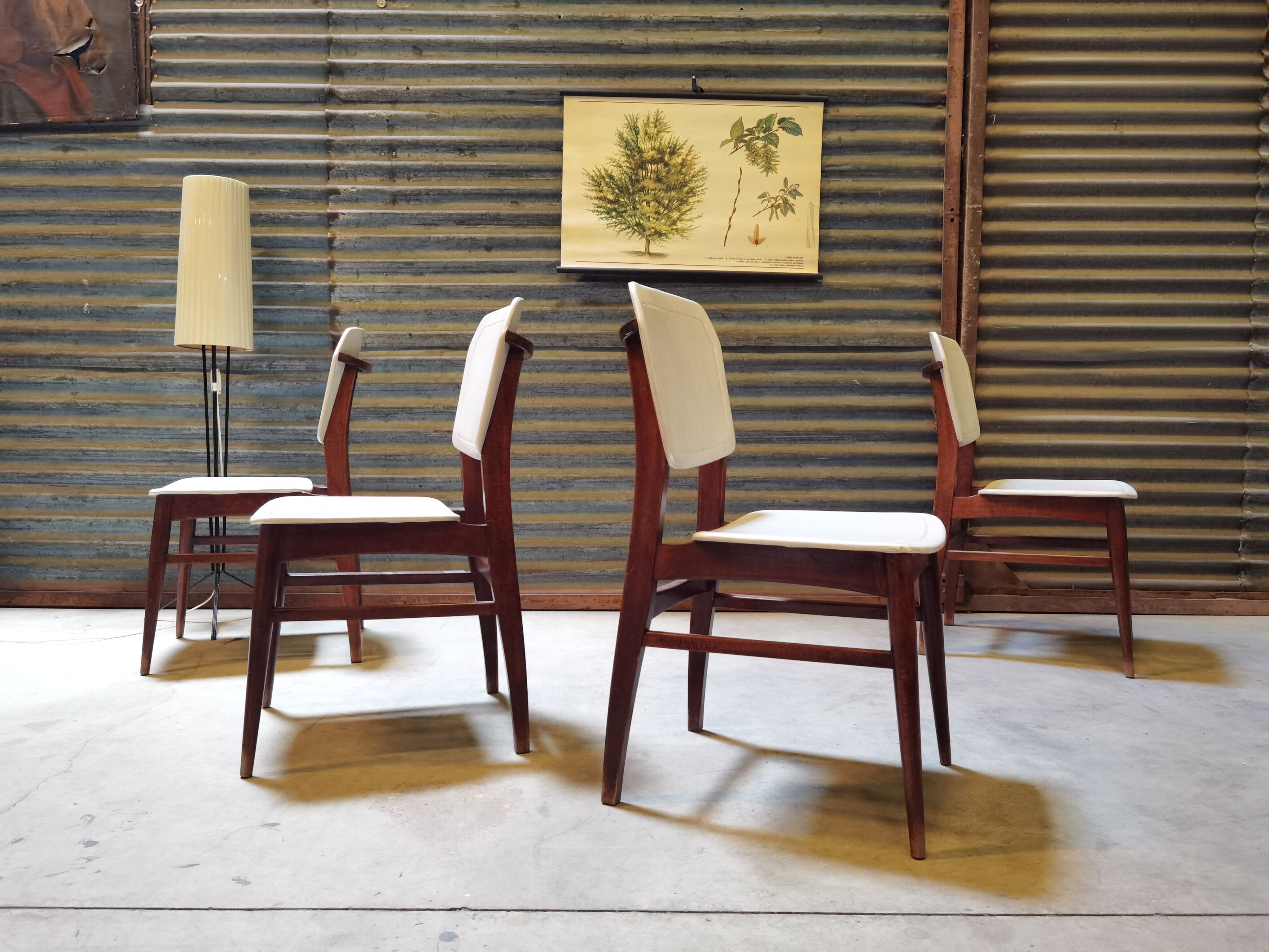 Lot de 4 chaises allemande Kondor Möbelwerk 1960