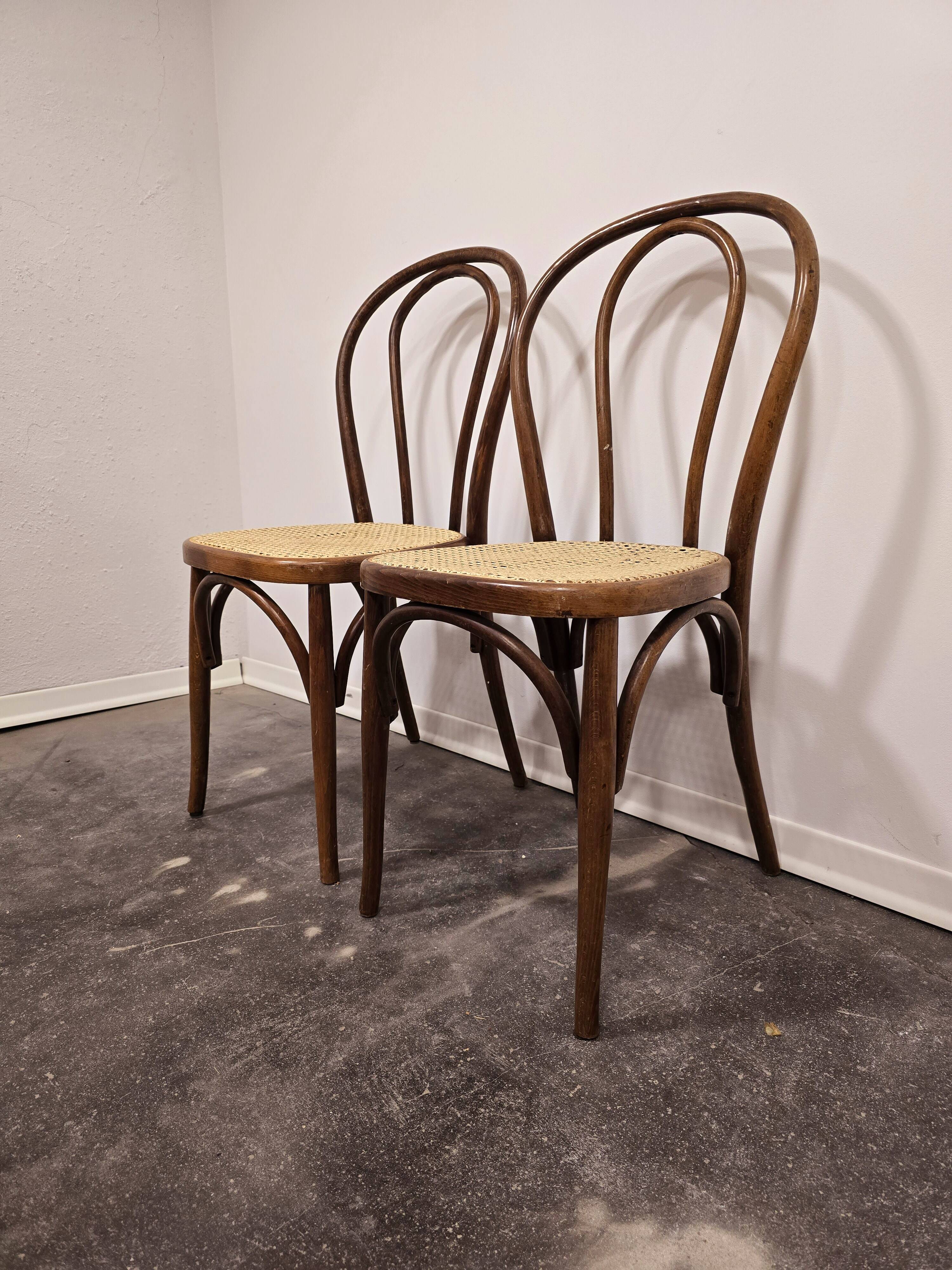 Bois courbé n° 18, années 1960 1 sur 2