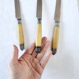 Box of 6 Appetizer Knives in Resin and Metal Vitolas Art Nouveau Style 19th Century