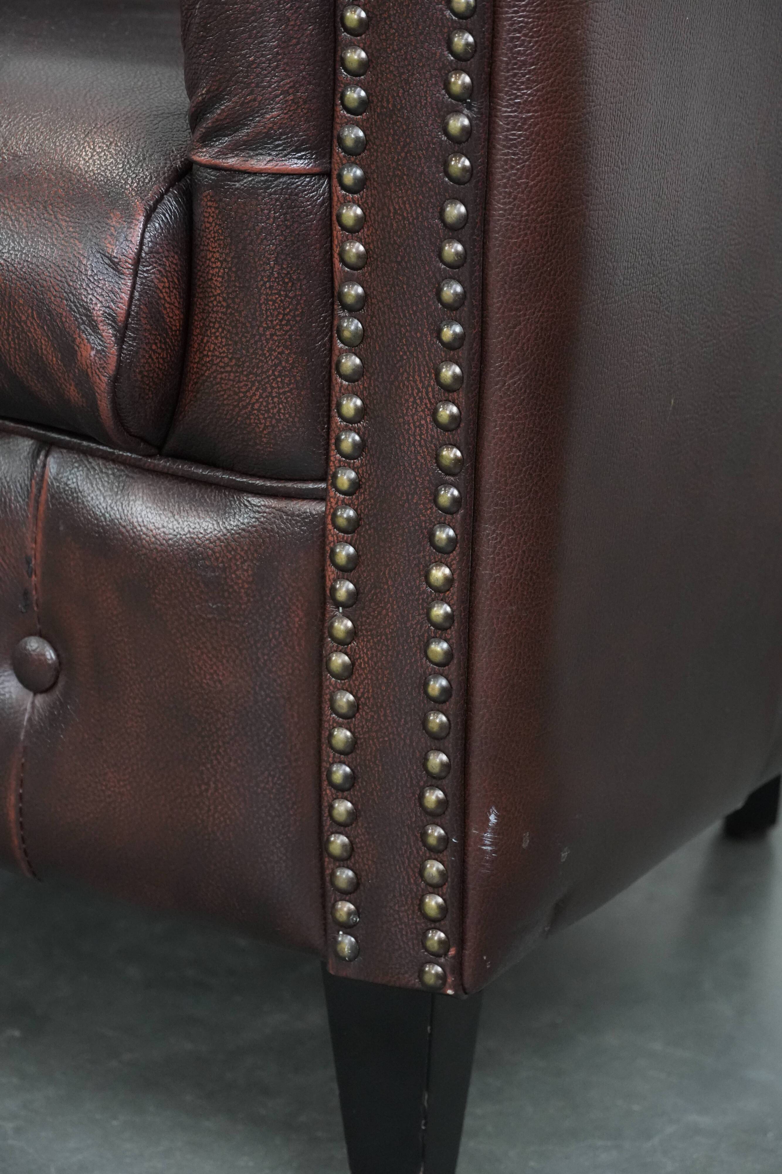 Set of three classic English-style Chesterfield cowhide  club armchairs