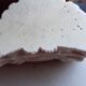 Plaster dragon ashtray