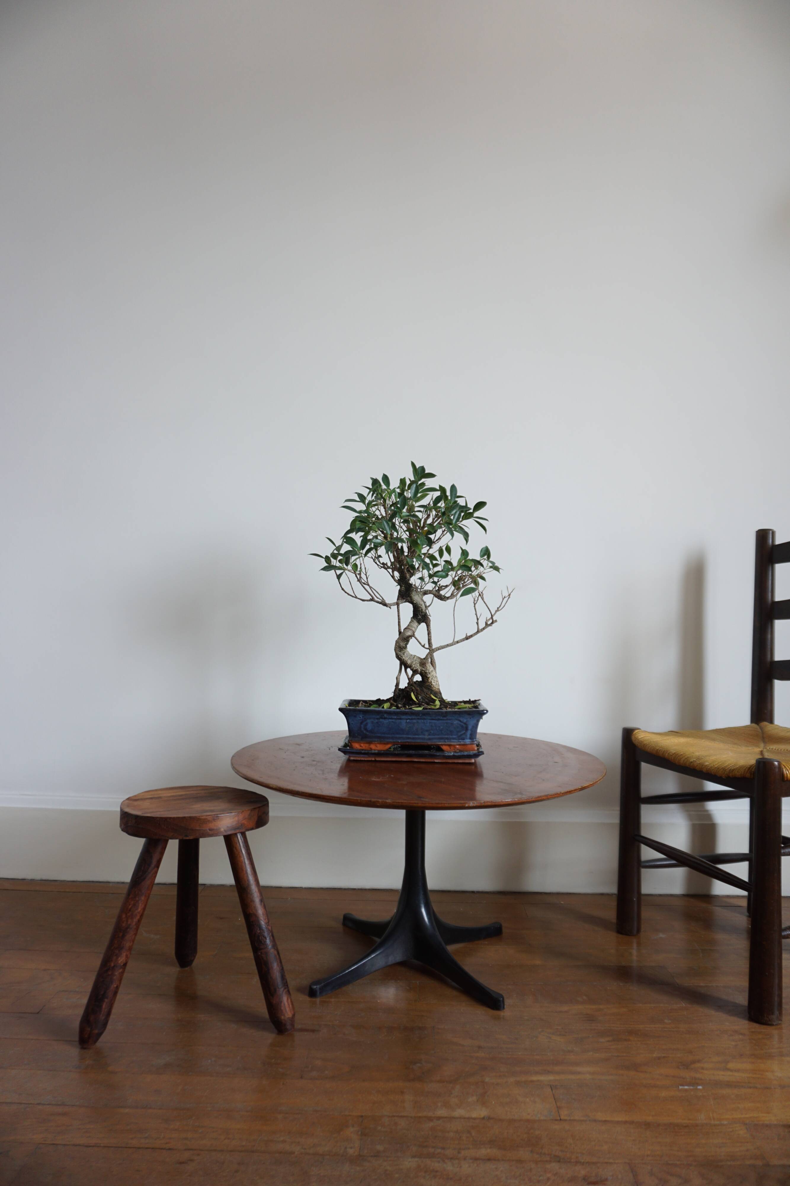 George Nelson Furniture International Coffee Table