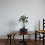 Table basse George Nelson Mobilier International