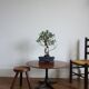 George Nelson Furniture International Coffee Table