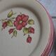 Set of pink earthenware plates Saint-Amand model Charme