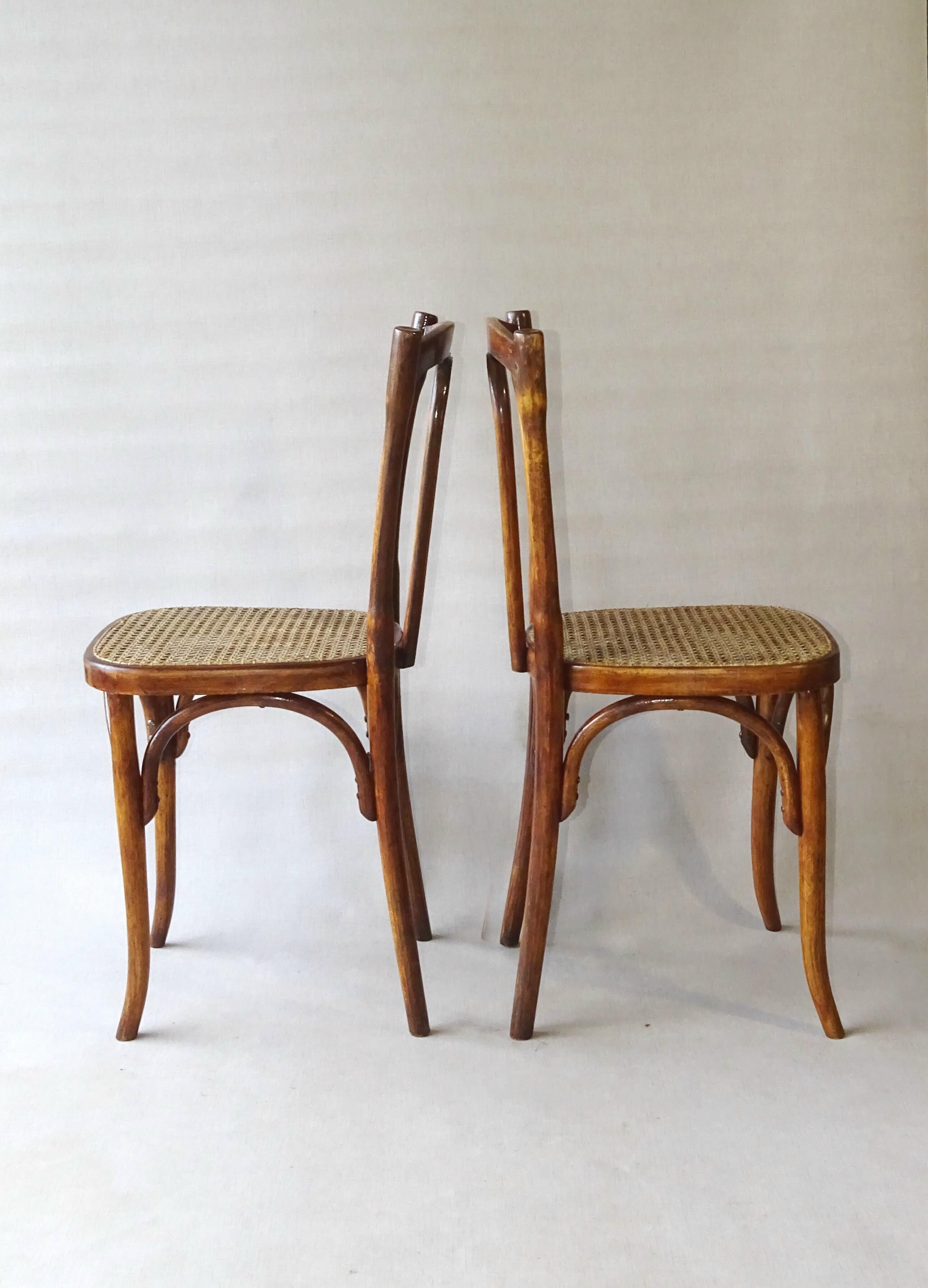 Set of 2 chairs bistrot type 56 circa 1925