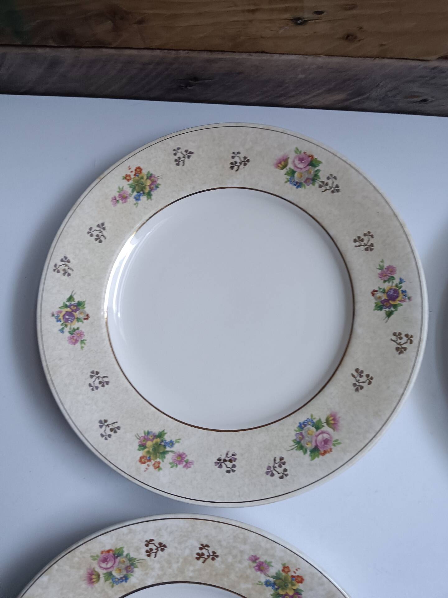 Set of 6 flat plates Salins model Simone beige with flowers.