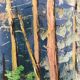 Huile sur panneau forêt vintage