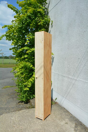 Very narrow and shallow Cabinet