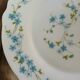 11 vintage dessert plates in Arcopal